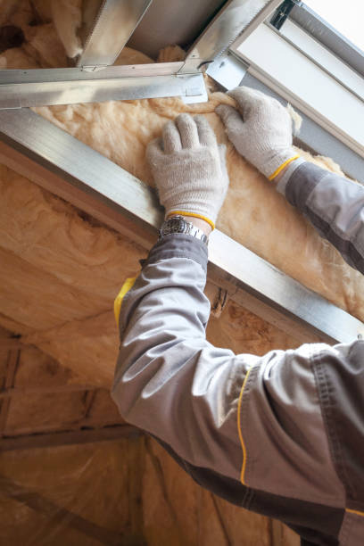 Best Geographic-Specific Insulation Services in Strawberry Point, IA