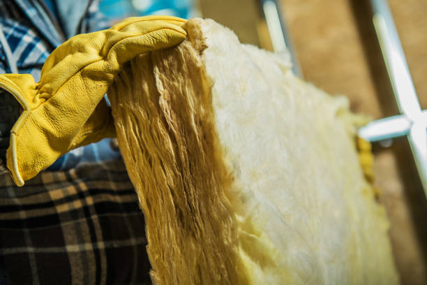 Best Specialized Insulation Services in Strawberry Point, IA